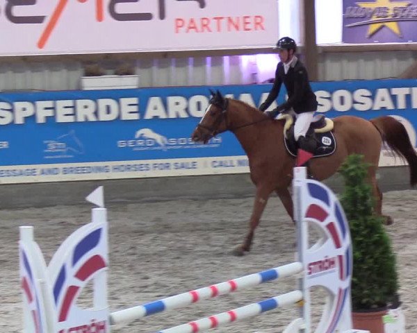 Nordic Jumping events 2020: Turnierergebnisse + Videos