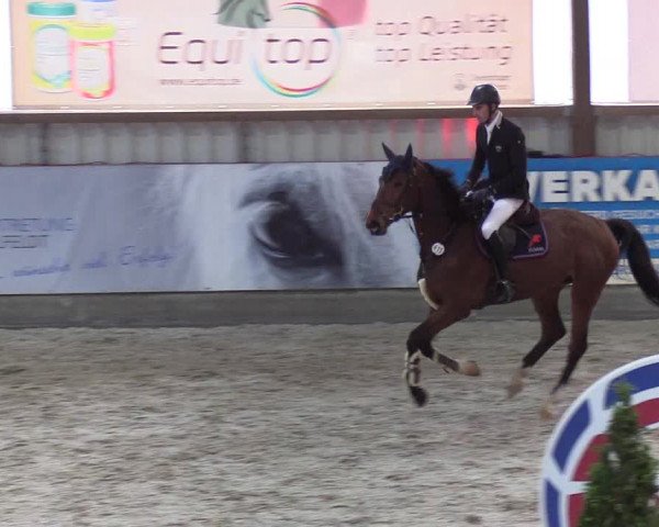 Nordic Jumping events 2020: Turnierergebnisse + Videos