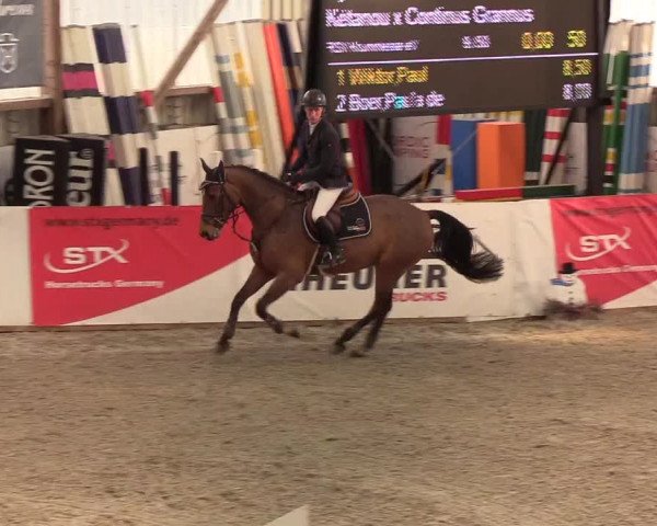 Nordic Jumping events 2020: Turnierergebnisse + Videos