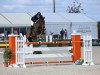 jumper Mezzaluna Tok (Brazilian horse, 2006, from Corland)