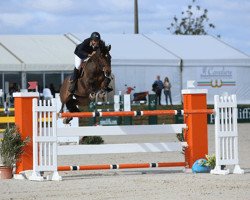 jumper Mezzaluna Tok (Brazilian horse, 2006, from Corland)