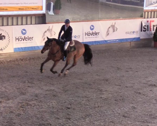 Nordic Jumping events 2020: Turnierergebnisse + Videos