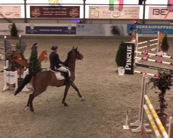 Nordic Jumping events 2020: Turnierergebnisse + Videos