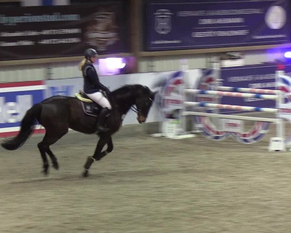 Nordic Jumping events 2020: Turnierergebnisse + Videos