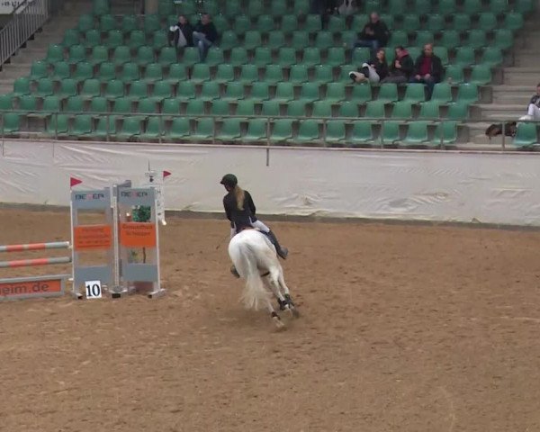 Reitturnier Kreuth/Opf. 2020