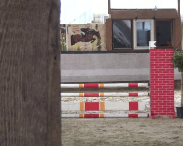 Reitturnier Lindlar-Süttenbach 2020