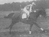 broodmare Lady Beth xx (Thoroughbred, 1921, from Alvarez xx)