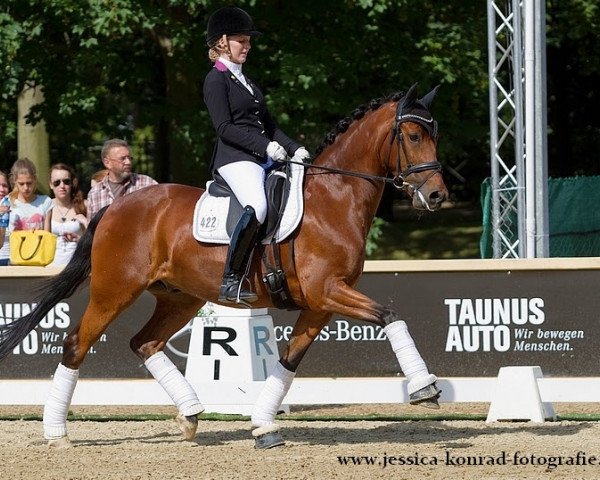 dressage horse Charly Brown 344 (German Riding Pony, 2008, from FS Champion de Luxe)