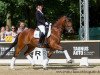 dressage horse Charly Brown 344 (German Riding Pony, 2008, from FS Champion de Luxe)