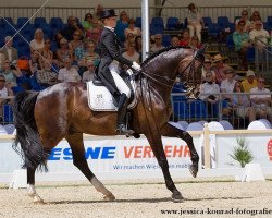 dressage horse Rubin Action OLD (Oldenburg, 2003, from Rohdiamant)