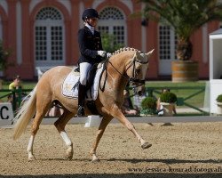 broodmare Golden Girl (German Riding Pony, 2002, from FS Don't Worry)