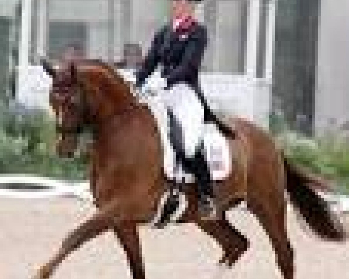Dressurpferd Fernandez (Westfale, 2000, von Florestan I)