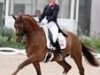 dressage horse Fernandez (Westphalian, 2000, from Florestan I)