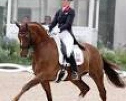 dressage horse Fernandez (Westphalian, 2000, from Florestan I)