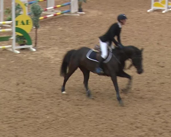 Reitturnier Kreuth/Opf. 2020