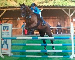 Springpferd Karthago 66 (Trakehner, 2002, von Waitaki 31)