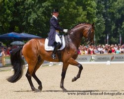 dressage horse Ronan 2 (Oldenburg, 2000, from Riccione)