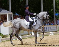 Dressurpferd Heslegaards Rolex (Dänisches Warmblut, 2003, von Heslegård's Rubin)