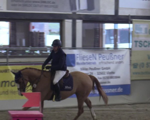 Reitturnier Vlotho-Exter 2020