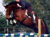 broodmare Jamaica (KWPN (Royal Dutch Sporthorse), 1991, from Voltaire)