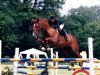 broodmare Idylle (KWPN (Royal Dutch Sporthorse), 1990, from Columbus)