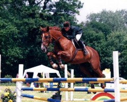 broodmare Idylle (KWPN (Royal Dutch Sporthorse), 1990, from Columbus)