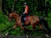 broodmare night dream 17 (German Riding Pony, 2006, from Top Nonstop)