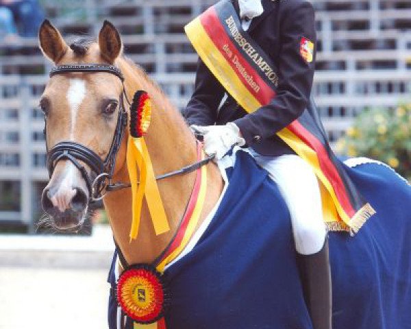 dressage horse Classic Dancer I (German Riding Pony, 2003, from FS Champion de Luxe)