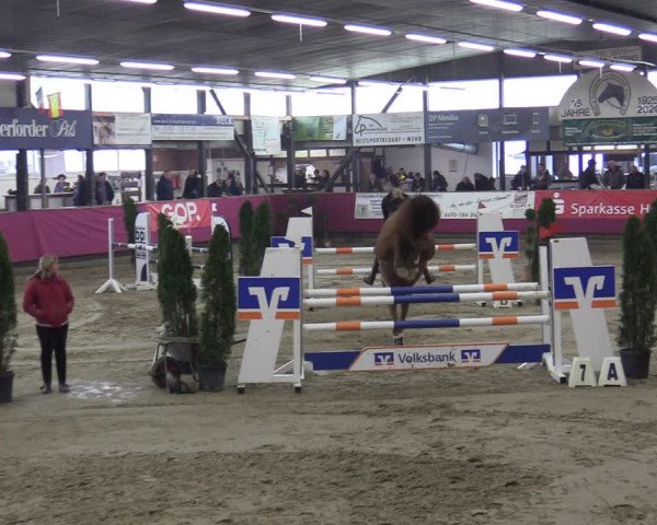 Reitturnier Vlotho-Exter 2020
