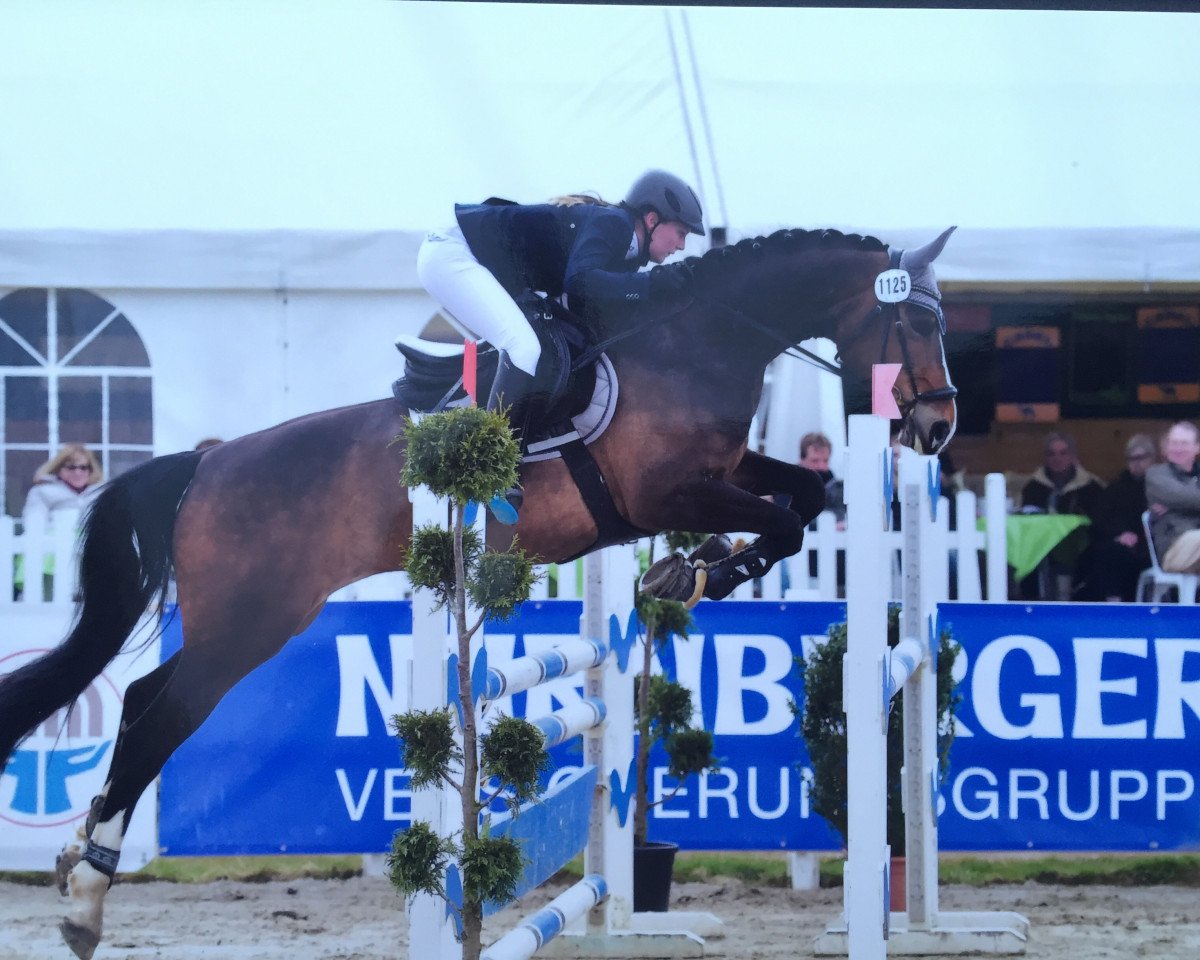 jumper Coco Mademoiselle W (Westphalian, 2010, from Coronas 2)