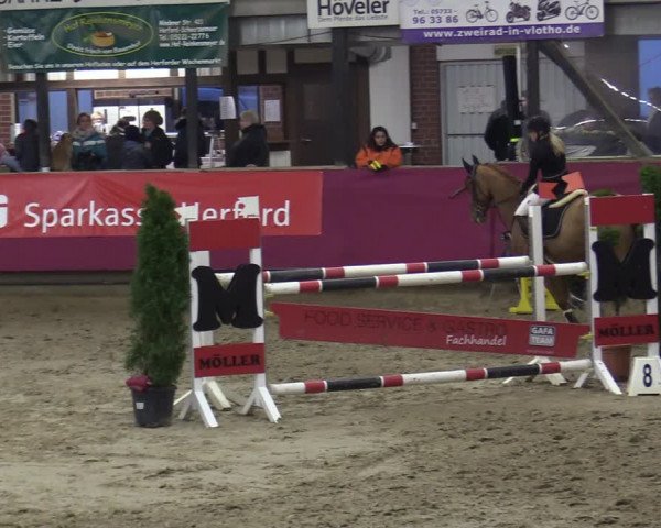 Reitturnier Vlotho-Exter 2020