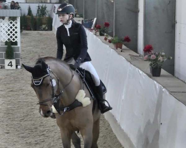 Reitturnier Karlsfeld/Obb. 2020