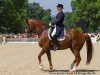 dressage horse Riccoletto (Bavarian, 2002, from Rivero II)