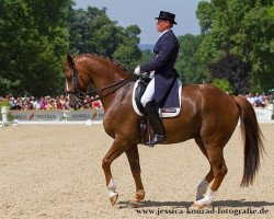 dressage horse Riccoletto (Bavarian, 2002, from Rivero II)