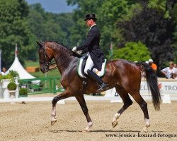 Dressurpferd Two To Tango (KWPN (Niederländisches Warmblut), 2000, von Idocus)