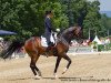 dressage horse Diamonds Forever (Hanoverian, 2002, from Depardieu 11)