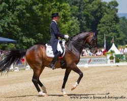 dressage horse Diamonds Forever (Hanoverian, 2002, from Depardieu 11)