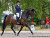 dressage horse Dusty Dutchman (Hessian Warmblood, 1998, from Donatelli I)