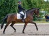 dressage horse Espada 10 (Arab half breed / Partbred, 1998, from Emetyt AA)