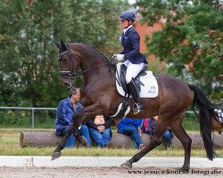 dressage horse Rebana W (Hanoverian, 2008, from Rosario 37)