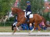 dressage horse Londonboy (Hanoverian, 2007, from Londontime)