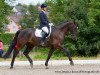 dressage horse Fridericus Rex 13 (Oldenburg, 2008, from For Compliment)