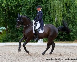 dressage horse Poussin (Bavarian, 2000, from Pour Plaisir 2)