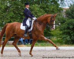 dressage horse Watch me 18 (Hanoverian, 2001, from Wolkenstein II)