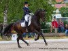 dressage horse Dynamico 2 (Hanoverian, 1998, from Don Primero)