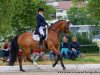 dressage horse Royal Boy H (Rhinelander, 2005, from Royal Diamond)