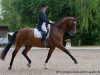 dressage horse Don Ravel (Oldenburg, 2004, from Don Romantic)