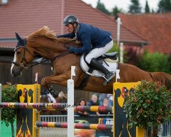 Springpferd Etiche de Fribois (Belgisches Warmblut, 2004, von Fétiche du Pas)