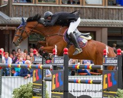 broodmare Vallerey (KWPN (Royal Dutch Sporthorse), 2003, from Sable Rose)