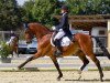 dressage horse Watango 2 (KWPN (Royal Dutch Sporthorse), 1998, from Wolfgang)